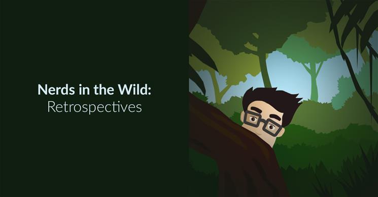 Nerds In The Wild Retrospectives